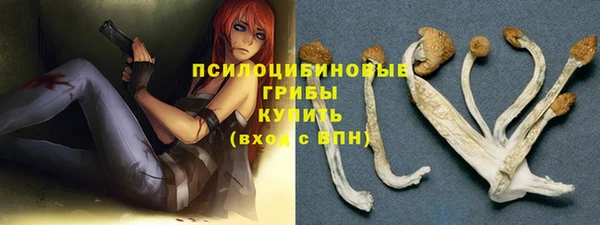 СК Абаза