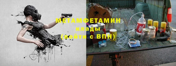 шишки Алексин