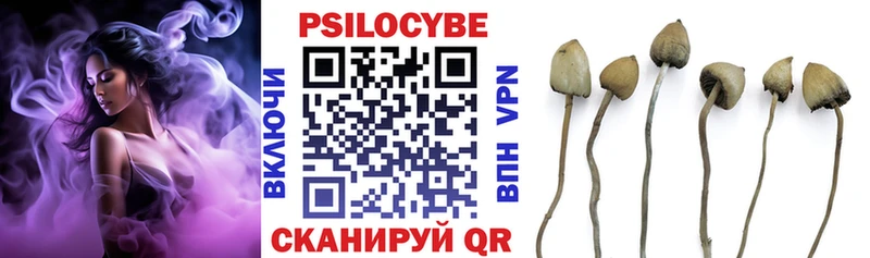 Галлюциногенные грибы Psilocybine cubensis даркнет сайт omg tor Искитим