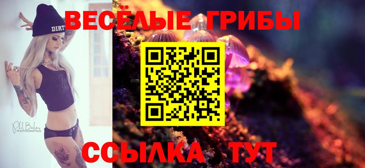 Искитим  Псилоцибиновые грибы прущие грибы  Вход с VPN 